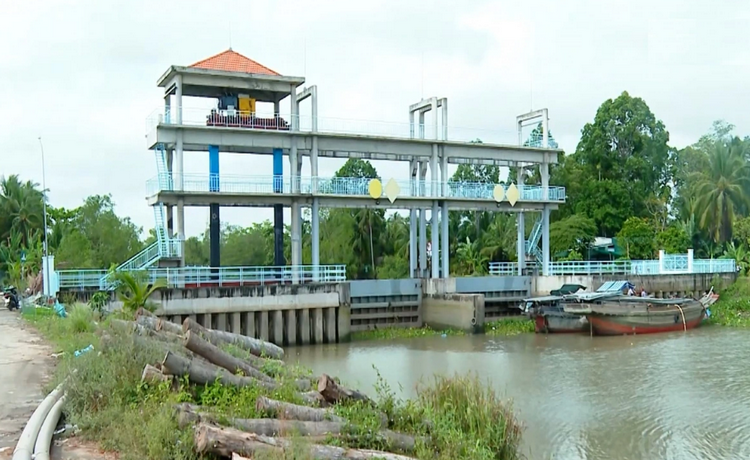 Vĩnh Long: Linh hoạt triển khai giải pháp phòng, chống xâm nhập mặn