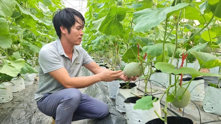 Công nghệ cao góp phần nâng cao giá trị nông sản tại Nghệ An