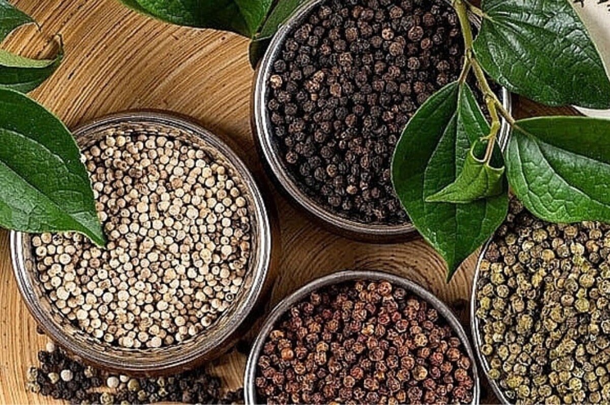 Giá tiêu hôm nay 25/1: Thị trường đi ngang, giá nội địa duy trì vùng cao Giá tiêu hôm nay 25/1: Thị trường đi ngang, giá nội địa duy trì vùng cao