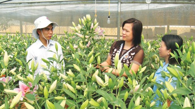 Thúc đẩy khoa học kỹ thuật trong phát triển nông lâm nghiệp