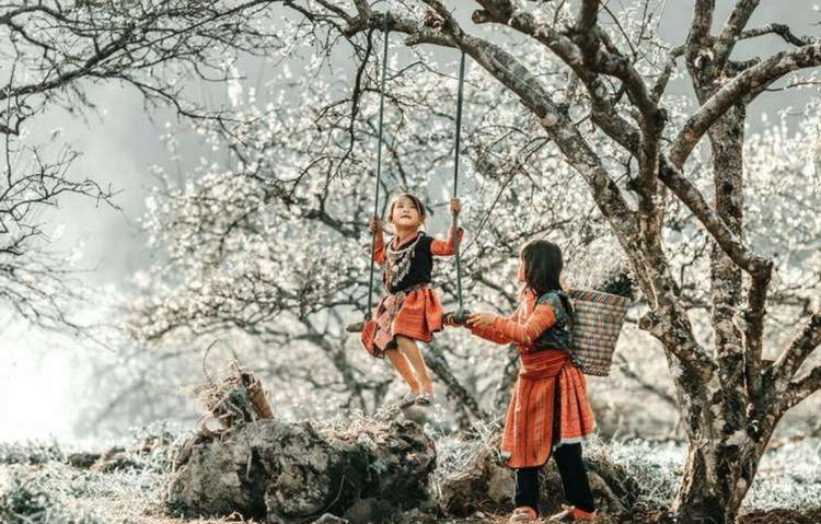 Mộc Châu mùa hoa mận Mộc Châu mùa hoa mận