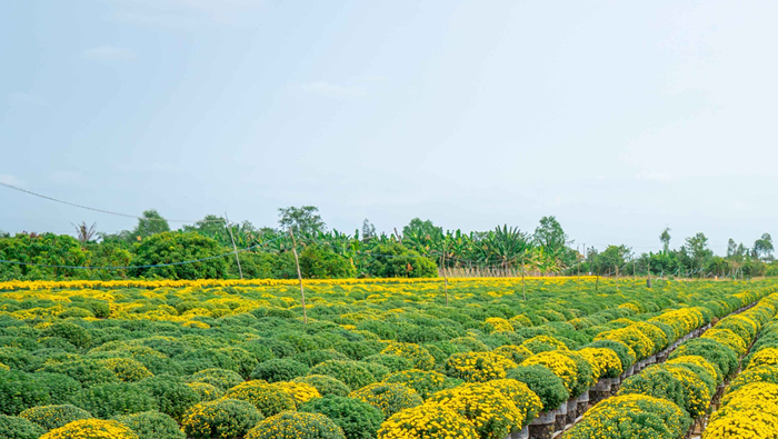 Nông nghiệp cần chuyển đổi, cơ cấu lại theo hướng nâng cao khả năng thích ứng thiên tai Nông nghiệp cần chuyển đổi, cơ cấu lại theo hướng nâng cao khả năng thích ứng thiên tai