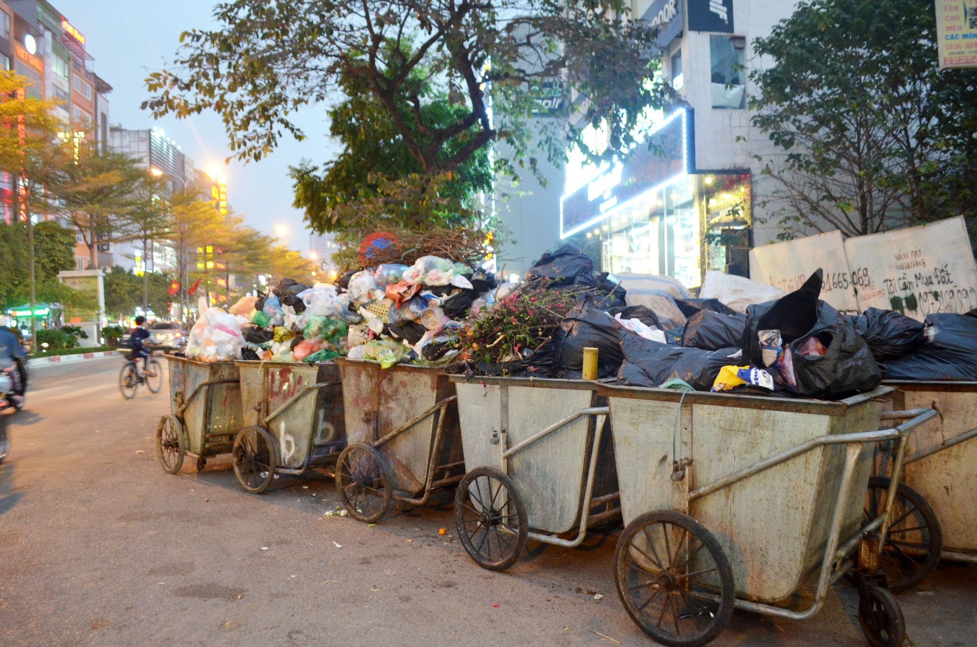 Hết Tết, “xác” đào la liệt đường phố Hà Nội