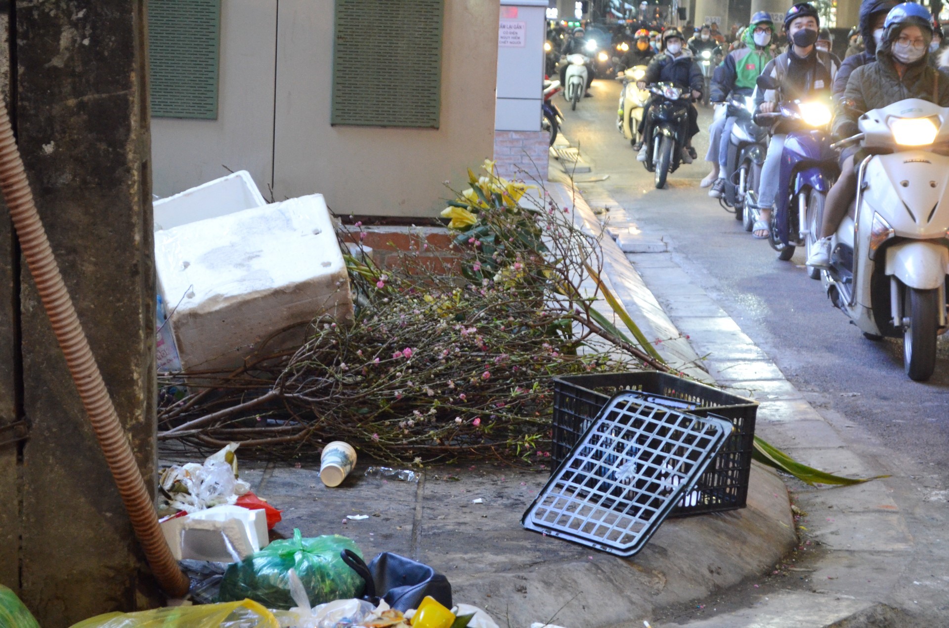 Hết Tết, “xác” đào la liệt đường phố Hà Nội