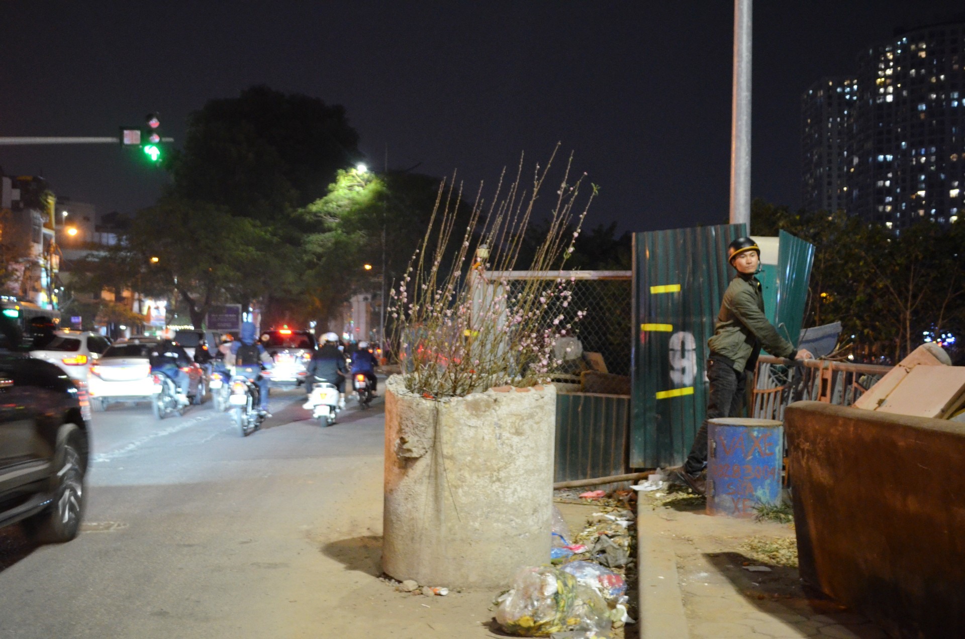 Hết Tết, “xác” đào la liệt đường phố Hà Nội