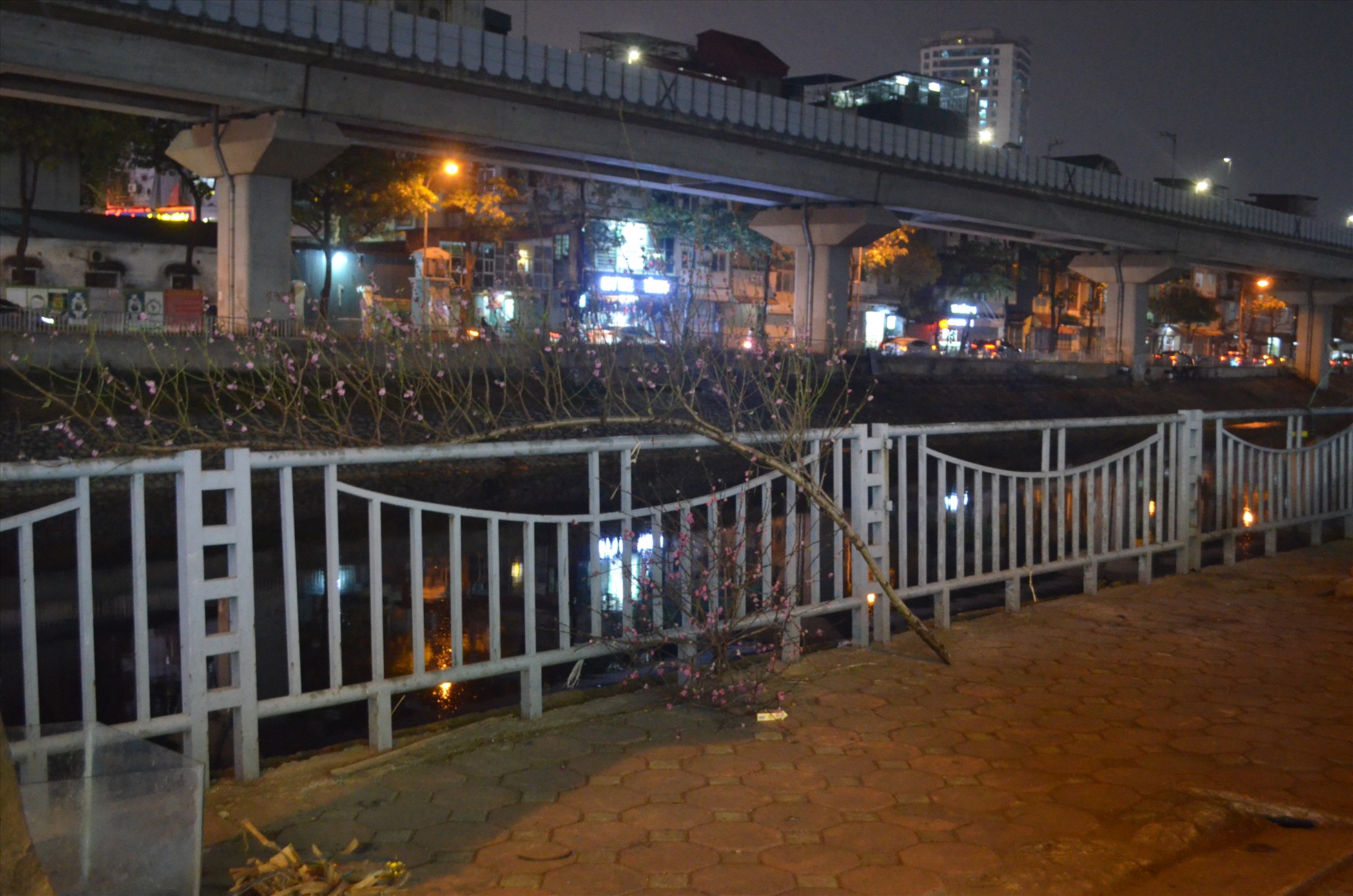 Hết Tết, “xác” đào la liệt đường phố Hà Nội