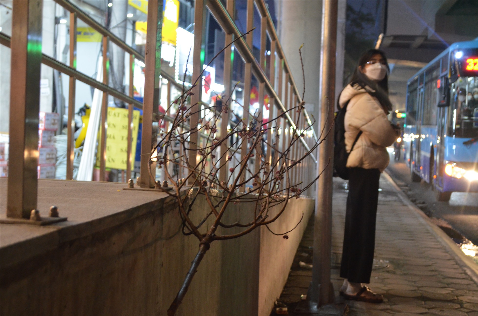 Hết Tết, “xác” đào la liệt đường phố Hà Nội