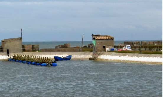 Xin cấp giấy phép tài nguyên nước phải đáp ứng những điều kiện nào theo quy định mới nhất?