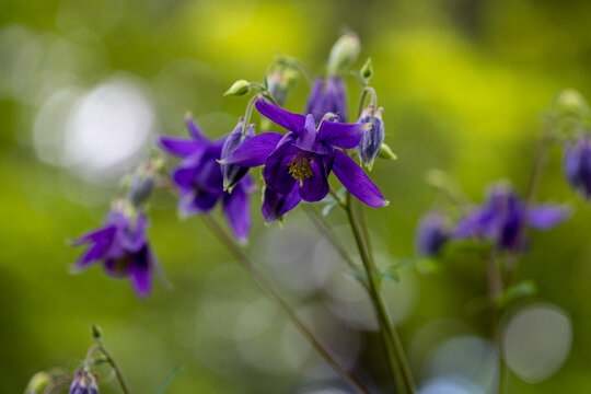 Tử vi ngày 21/2/2023: Tuổi Thìn cẩn trọng túi tiền, tuổi Thân tình duyên vượng sắc