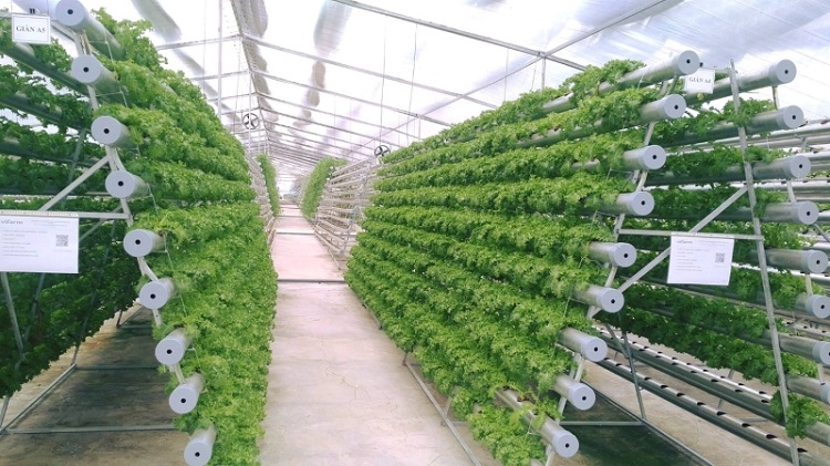 Việt Nam nỗ lực thực hiện cam kết giảm phát thải ròng Việt Nam nỗ lực thực hiện cam kết giảm phát thải ròng