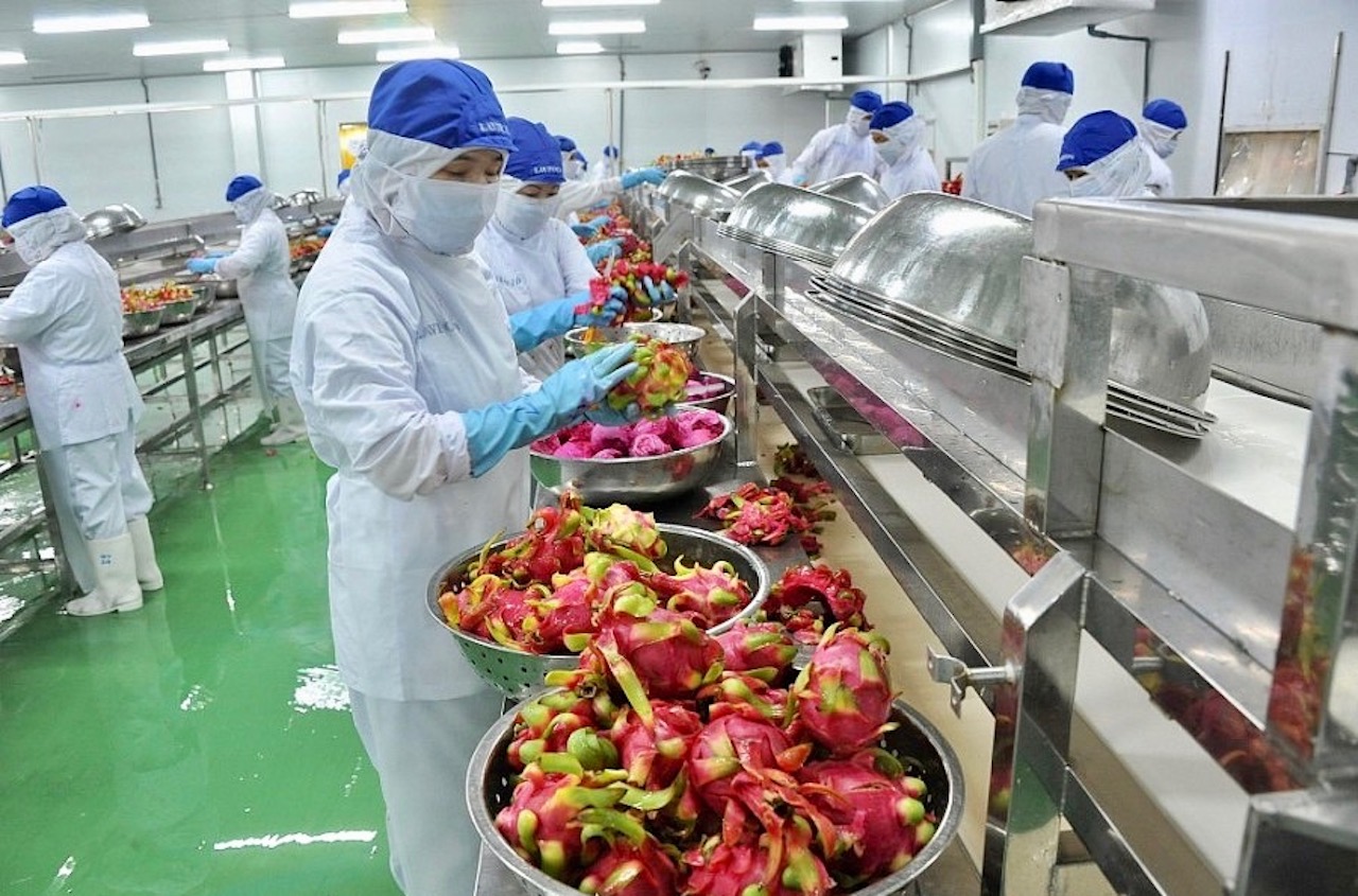 Xuất khẩu nông sản khởi sắc ngay từ đầu năm 2024 Xuất khẩu nông sản khởi sắc ngay từ đầu năm 2024