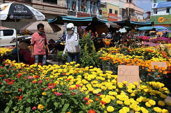 Giá hoa xuống thấp, thời tiết bất lợi khiến nhiều nhà vườn thất thu Chú thích ảnh