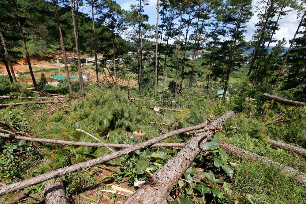 Tin bất động sản ngày 7/2: Quảng Ngãi sắp quy hoạch hai khu đô thị mới gần 1.200 ha Tin bất động sản ngày 7/2: Quảng Ngãi sắp quy hoạch hai khu đô thị mới gần 1.200 ha