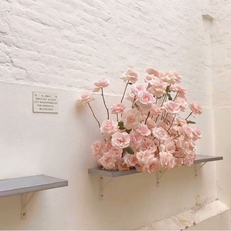 Tử vi 12 con giáp ngày 8/2/2024: Tuổi Tuất đón nhiều cơ hội, tuổi Dần không được suôn sẻ