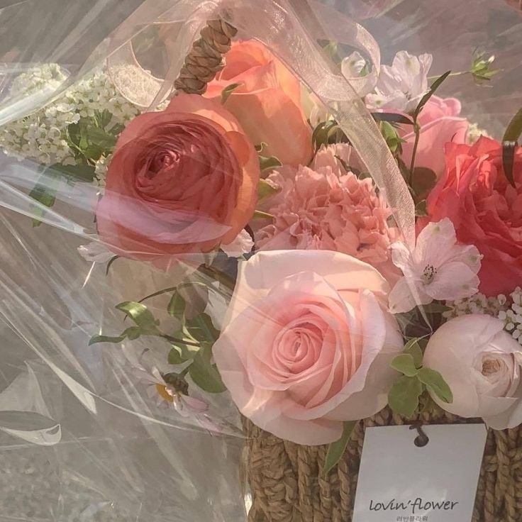 Tử vi 12 con giáp ngày 13/2/2024: Tuổi Tý làm ăn suôn sẻ, tuổi Tuất không được như ý