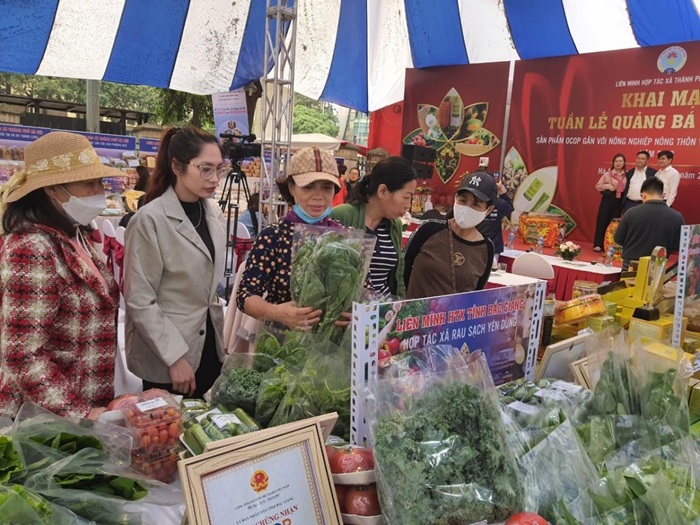 Bắc Giang tập trung nâng cao chất lượng, quảng bá sản phẩm OCOP