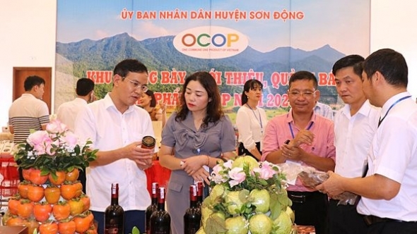 Bắc Giang tập trung nâng cao chất lượng, quảng bá sản phẩm OCOP