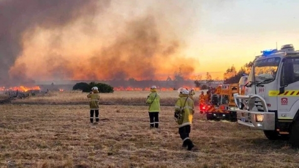 Australia: Nắng nóng cực đoan khiến nguy cơ cháy rừng lan rộng