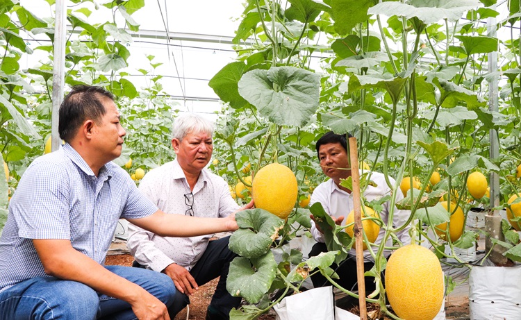 Công nghệ cao tạo đà phát triển nông nghiệp thông minh Công nghệ cao tạo đà phát triển nông nghiệp thông minh
