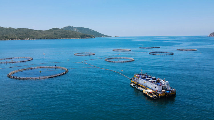 Khánh Hòa khai thác hiệu quả tiềm năng kinh tế biển