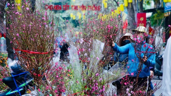 Bảo đảm mỗi người, mỗi nhà đều được vui Xuân, đón Tết