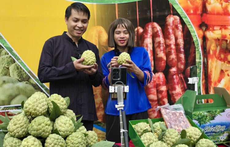Lạng Sơn: Mở rộng thị trường tiêu thụ nông sản nhờ ứng dụng công nghệ số Lạng Sơn: Mở rộng thị trường tiêu thụ nông sản nhờ ứng dụng công nghệ số