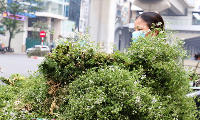 Mùi già - Hương vị đặc trưng chiều cuối năm