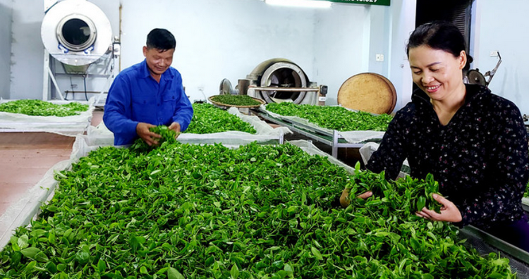 Ứng dụng công nghệ thúc đẩy tiêu thụ nông sản