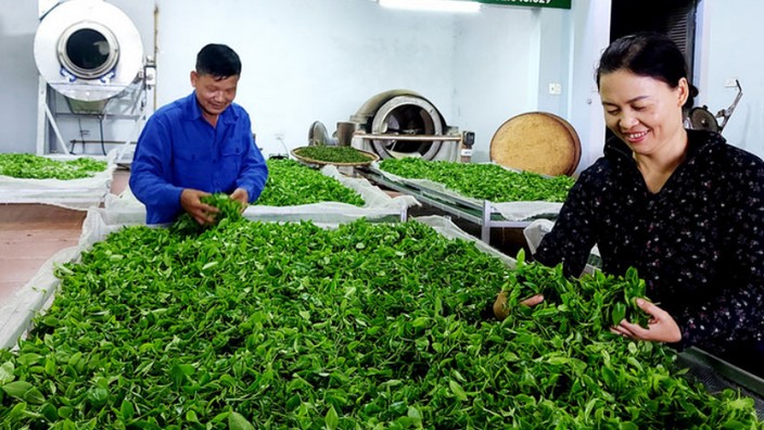 Ứng dụng công nghệ thúc đẩy tiêu thụ nông sản