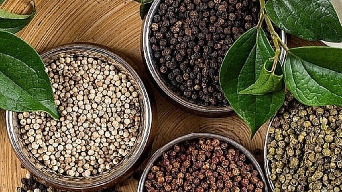 Giá tiêu hôm nay 19/2: Cung – cầu tiếp tục nâng đỡ mặt bằng giá cao