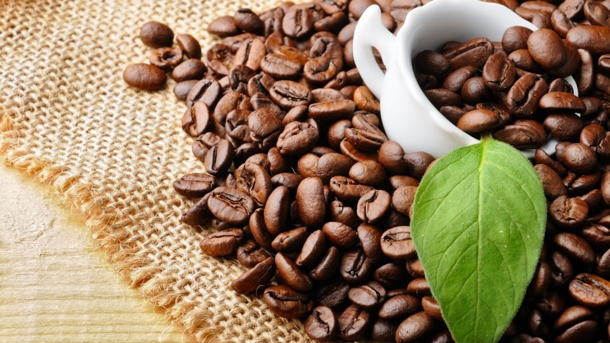 Giá cà phê hôm nay 25/2: Đồng loạt lao dốc, robusta rơi về đáy 6,5 tháng