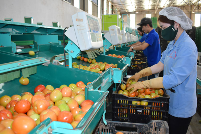 Đẩy mạnh hoạt động sản xuất kinh doanh sau kỳ nghỉ Tết Bính Ngọ 2026