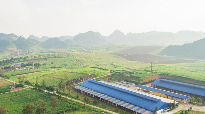 Tăng trưởng xanh quốc gia: Góc nhìn từ giảm phát thải trong sản xuất nông nghiệp