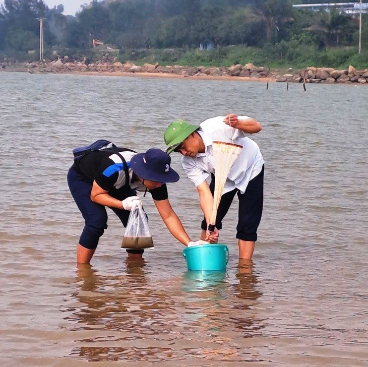 Đã xác định được nguyên nhân ngao chết hàng loạt ở Hà Tĩnh