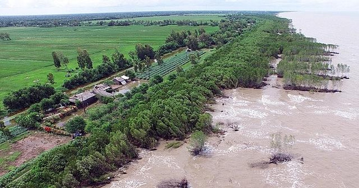 Việt Nam - Nhật Bản: Hợp tác bền vững trong cuộc chiến chống biến đổi khí hậu