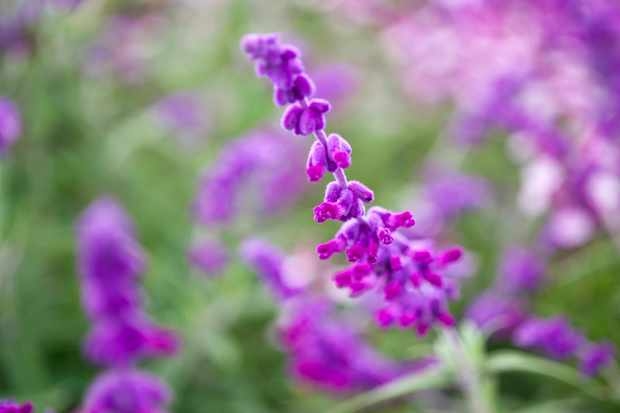 Tử vi ngày 6/3/2023: Tuổi Tý người sẵn sàng giúp, tuổi Thìn được đánh giá cao