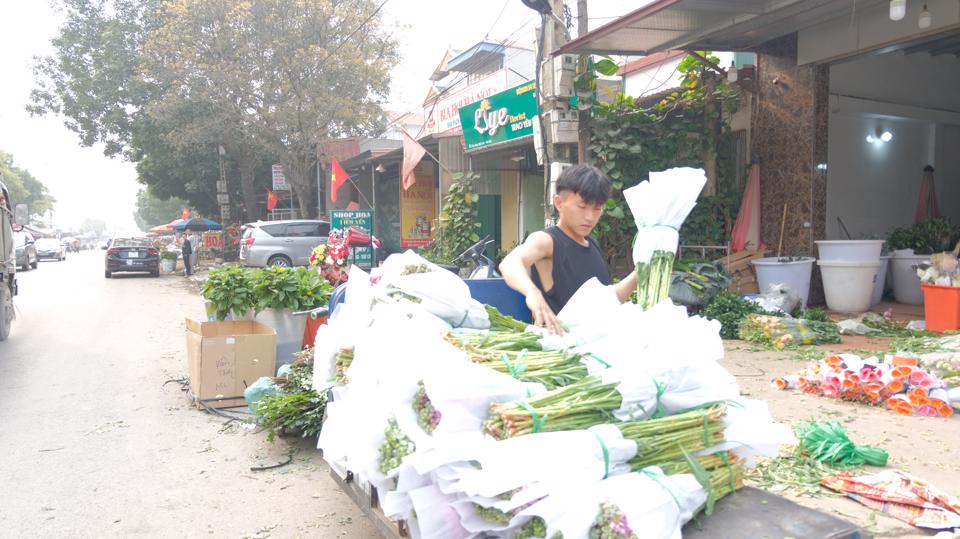 Thủ phủ hoa lớn nhất Hà Nội tất bật ngày cận lễ 8/3