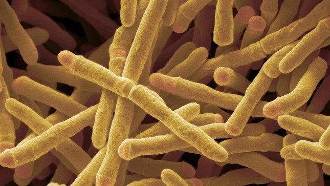 Phát hiện enzyme có thể biến không khí thành năng lượng Phát hiện enzyme có thể biến không khí thành năng lượng