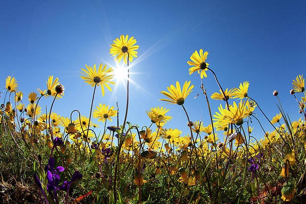 Tử vi ngày 15/3/2023: Tuổi Thìn công việc như mơ, tuổi Tuất tiểu nhân cạnh tranh Tử vi ngày 15/3/2023: Tuổi Thìn công việc như mơ, tuổi Tuất tiểu nhân cạnh tranh