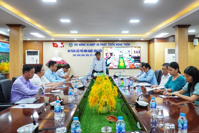 V&igrave; sao h&agrave;nh tỏi &lsquo;made in Vietnam&rsquo; thua ngay tr&ecirc;n s&acirc;n nh&agrave;? ảnh 1