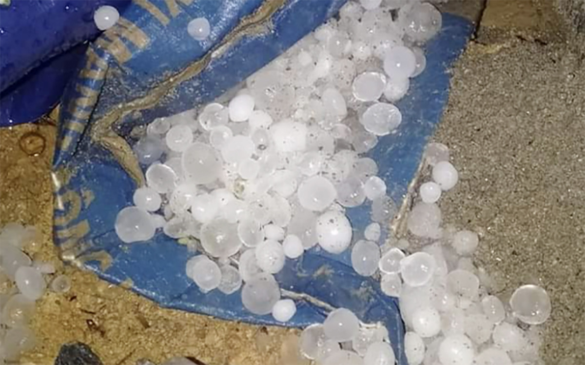 Mưa đá xảy ra trên diện rộng ở huyện biên giới Nghệ An Mưa đá xảy ra trên diện rộng ở huyện biên giới Nghệ An