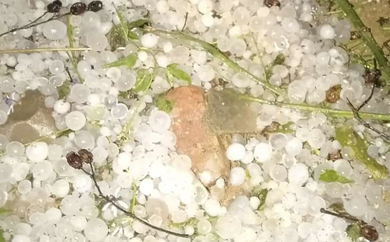 Mưa đá xảy ra trên diện rộng ở huyện biên giới Nghệ An Mưa đá xảy ra trên diện rộng ở huyện biên giới Nghệ An