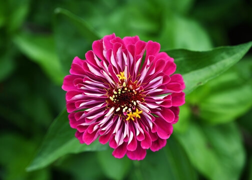 Tử vi ngày 24/3/2023: Tuổi Tỵ đón nhiều tin vui, tuổi Mùi người sẵn sàng giúp Tử vi ngày 24/3/2023: Tuổi Tỵ đón nhiều tin vui, tuổi Mùi người sẵn sàng giúp