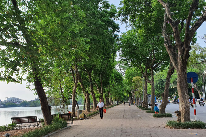 Phát triển hệ thống cây xanh đô thị, nâng cao chất lượng môi trường