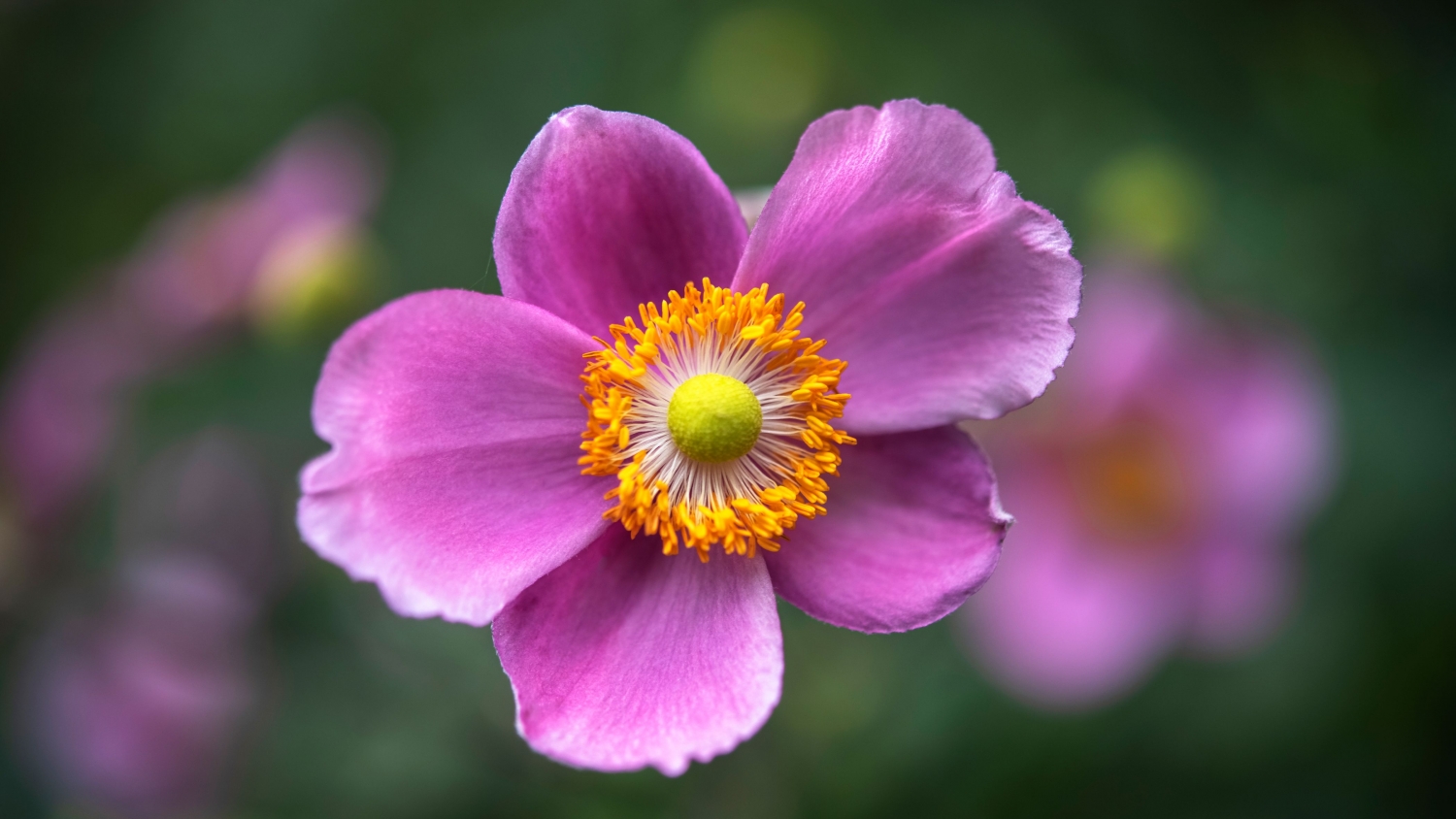 Tử vi ngày 28/3/2023: Tuổi Sửu mọi việc suôn sẻ, tuổi Tỵ may mắn hơn hẳn Tử vi ngày 28/3/2023: Tuổi Sửu mọi việc suôn sẻ, tuổi Tỵ may mắn hơn hẳn