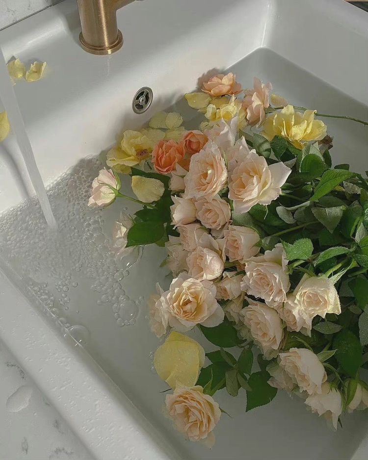 Tử vi 12 con giáp ngày 4/3/2024: Tuổi Hợi vượng tài, tuổi Mão nảy sinh mâu thuẫn