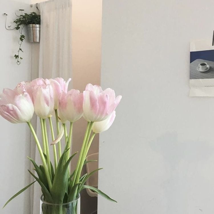 Tử vi 12 con giáp ngày 4/3/2024: Tuổi Hợi vượng tài, tuổi Mão nảy sinh mâu thuẫn