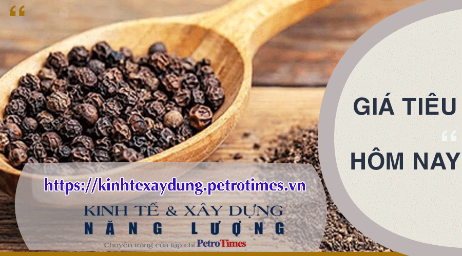 Giá tiêu hôm nay 23/3: Chững lại cao nhất 95.500 đồng Giá tiêu hôm nay 23/3: Cao nhất ở mức 95.500 đồng