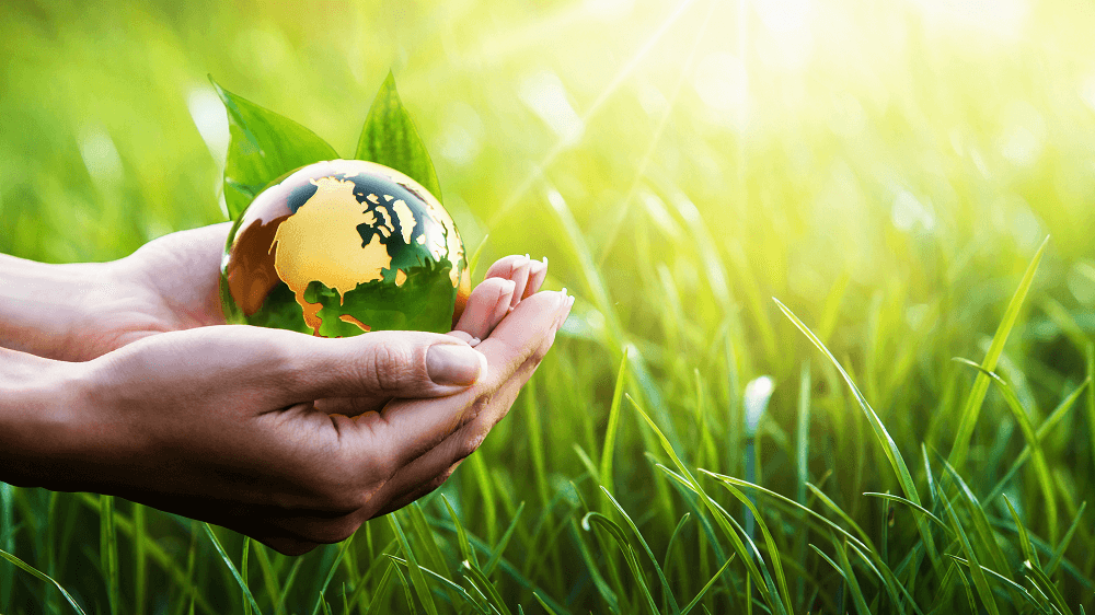 Bộ Tài chính hưởng ứng các sự kiện bảo vệ môi trường