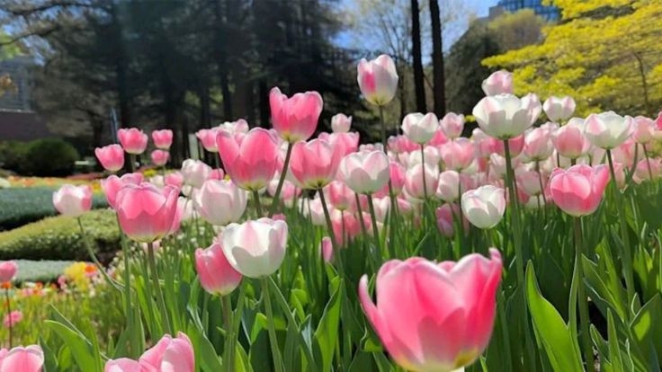 Tử vi vòng quay công nghệ ngày 5/3/2025: Tuổi Tuất quý nhân giúp đỡ, tuổi Sửu công việc không thuận lợi Tử vi vòng quay công nghệ ngày 5/3/2025: Tuổi Tuất quý nhân giúp đỡ, tuổi Sửu công việc không thuận lợi